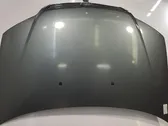 Engine bonnet/hood