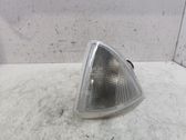Front fender indicator light