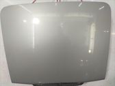 Tailgate/trunk/boot lid