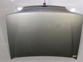 Engine bonnet/hood