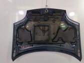 Motorhaube