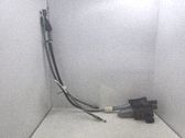 Module de commande de frein à main