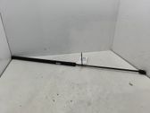 Front bonnet/hood damper/strut