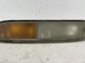 Front fender indicator light