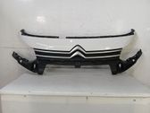 Front grill