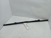 Tailgate/trunk strut/damper