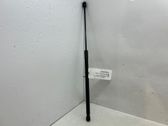 Front bonnet/hood damper/strut