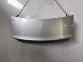 Tailgate/trunk/boot lid
