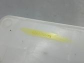 Wischwasserbehälter