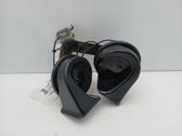 Signal sonore