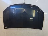 Engine bonnet/hood