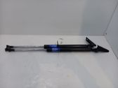 Tailgate/trunk strut/damper