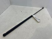 Front bonnet/hood damper/strut
