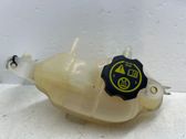 Coolant expansion tank/reservoir cap