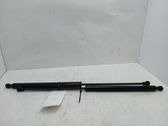 Tailgate/trunk strut/damper