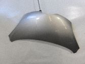 Motorhaube