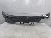 Moldura del limpia