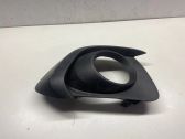 Front fog light trim/grill