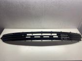 Front bumper lower grill
