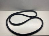 Front door rubber seal