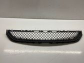 Front bumper lower grill
