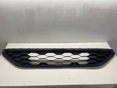 Front bumper lower grill