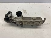 EGR valve cooler