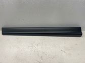Front door trim (molding)