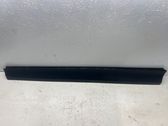 Listón embellecedor de la puerta delantera (moldura)