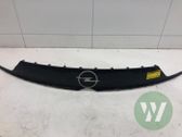 Front bumper upper radiator grill
