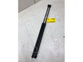 Amortiguador/puntal del maletero/compartimento de carga