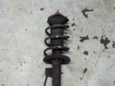 Front shock absorber with coil spring