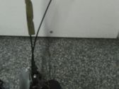 Central locking motor
