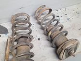 Rear coil spring