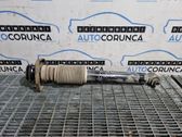 Rear shock absorber with coil spring