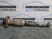 Rear shock absorber with coil spring