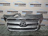 Front grill