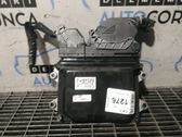 Motorsteuergerät ECU