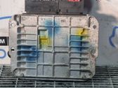 Engine control unit/module ECU