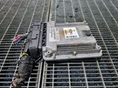 Engine control unit/module ECU