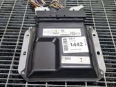 Engine control unit/module ECU