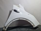 Fender