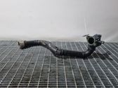 Manguera/tubo del intercooler
