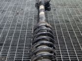 Amortiguador delantero con muelle espiral