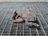 Bremssattel hinten