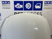 Engine bonnet/hood