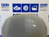 Engine bonnet/hood