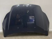 Motorhaube