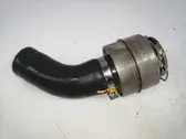 Tubo flessibile mandata olio del turbocompressore turbo