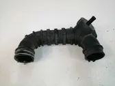 Turbo turbocharger oiling pipe/hose